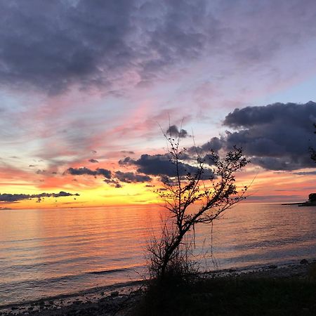 Novigrad IstriaApp Sorgoアパートメント エクステリア 写真