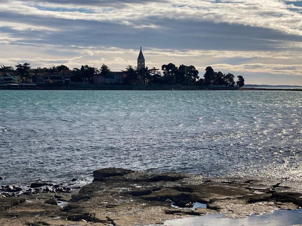 Novigrad IstriaApp Sorgoアパートメント エクステリア 写真