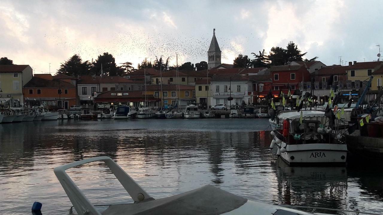 Novigrad IstriaApp Sorgoアパートメント エクステリア 写真